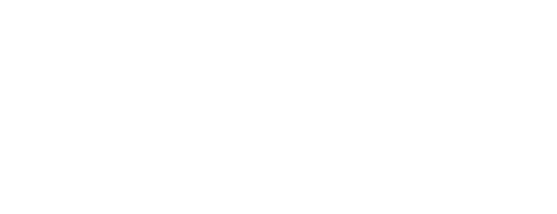 Neastage logo Blanc